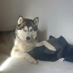 Profile Picture of Corinna Saßmannshausen (@Corinna-Saßmannshausen) on Facebook