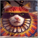 Profile Picture of Phillip Rolfes (@phillip__rolfes) on Instagram