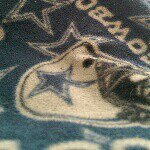 Profile Picture of Craig Floyd (@floydcraig) on Instagram