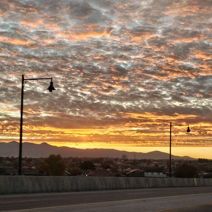 Profile Picture of Edward Padfield (@edward19440) on Tiktok