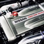 Profile Picture of Tim Vann (@in.thr33s) on Instagram