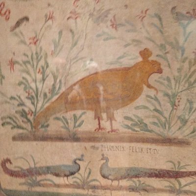 Profile Picture of Minoo Dinshaw (@MinooFramroze) on Twitter