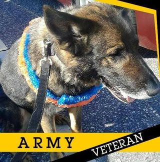 Profile Picture of Lance King (@lance.king.56808) on Facebook