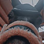 Profile Picture of Lucy Haines (@lucy_equestrians) on Instagram