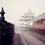 Profile Picture of Mohamed.omran (@mohamed.omran) on Flickr