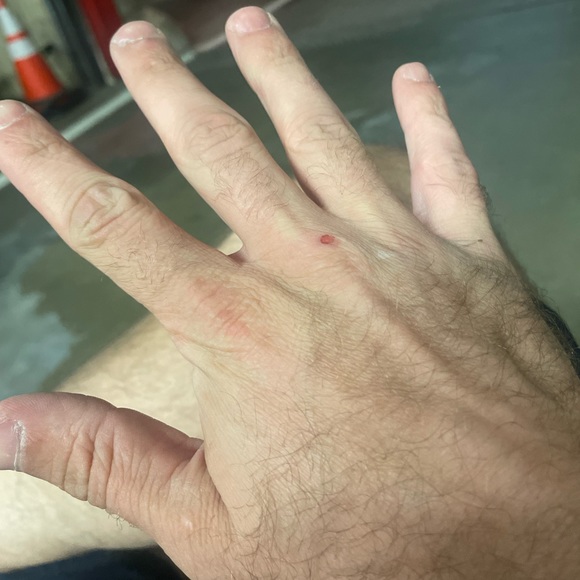 Profile Picture of Jacob Parisi (@jacobparisi) on Poshmark