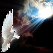 Profile Picture of Atef Hassan (@atefhassan8761) on Youtube