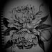 Profile Picture of Robin Steffens (@creationbyrobin) on Pinterest