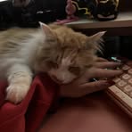 Profile Picture of Alyssa Danielson (@Alyssa-Danielson) on Facebook