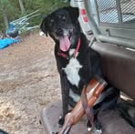 Profile Picture of Dennis Hughes (@dennis.hughes.889162) on Facebook