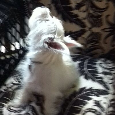 Profile Picture of David Putman (@davidputman9) on Twitter