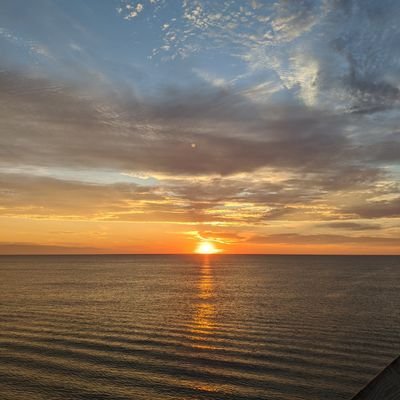 Profile Picture of Troy Higgins (@TroyHig56662693) on Twitter