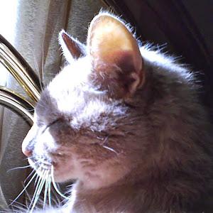 Profile Picture of janetsagona (@janetsagona) on Tiktok