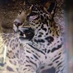 Profile Picture of Marilyn Dunbar (@dunbarmarilyn) on Instagram