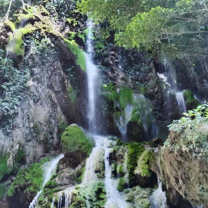 Profile Picture of paschal_duhat (@paschalduhat6) on Tiktok