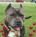 Profile Picture of Tina Cramer (@tina.cramer.104) on Facebook