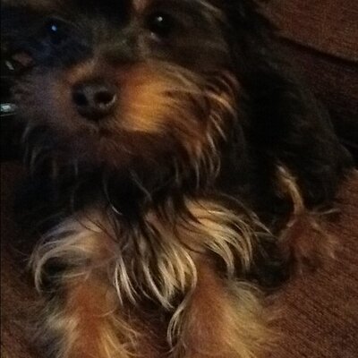 Profile Picture of April Bradshaw (@AprilGraceB) on Twitter