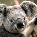 Profile Picture of wilfred jimenez (@wilfredjimenez19930828) on Instagram