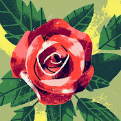 Profile Picture of Sameena (@Sameena-fy8nd1of8e) on Youtube