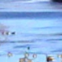 Profile Picture of Scott Davey (@scott-davey-27) on Quora