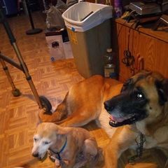 Profile Picture of Terry (@lorettacornett0) on Tiktok