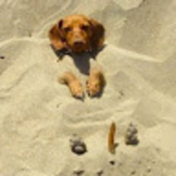 Kylah Luethge - Poshmark Profile Picture of Kylah Luethge (@lavinia2021) on Poshmark