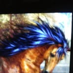 Profile Picture of Glen Temple (@glen.temple.94) on Facebook