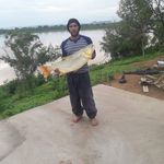 Profile Picture of Antonio Abel Brasileiro (@abel_brasileiro_) on Instagram