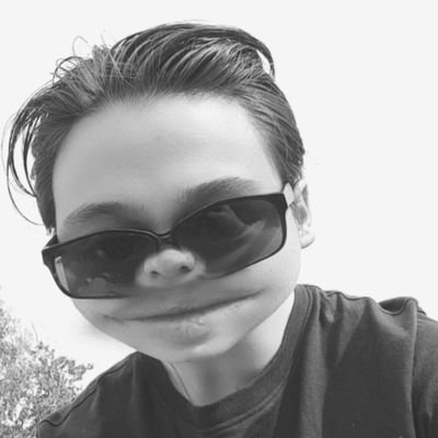 Profile Picture of Karl Lindgren (@KarlLindgren4) on Twitter