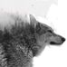 Profile Picture of Seth Wolf (@seth.wolf.12532) on Facebook