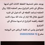 Profile Picture of Akram Ibrahim (@cats_marriage) on Instagram