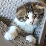 Profile Picture of Catherine Brandon (@catherine.brandon2) on Instagram