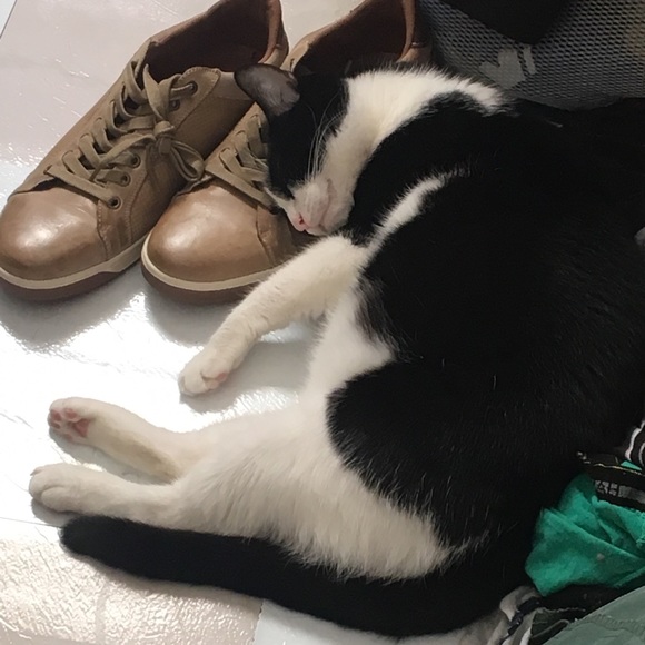 Profile Picture of Joseph Farfan (@anderson11212) on Poshmark