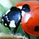 Profile Picture of Amir Ben Naim (@Amir_b_n) on Flickr