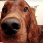 Profile Picture of 🐊 (@marc_cocoz) on Instagram