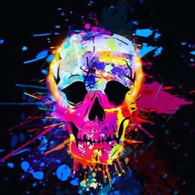 Profile Picture of SkullGamerxx793_Twitch.TV (@sam_asquith) on Twitter