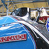 Profile Picture of Tracy Trevor (@tracy trevor) on Flickr