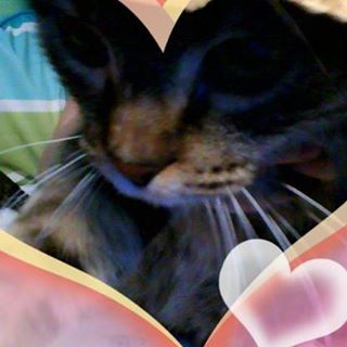 Profile Picture of Lillie Hecker (@lillie.hecker.9) on Facebook