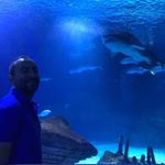 Profile Picture of Alejandro Vallecillo T (@alejandro_vallecillo_t) on Instagram