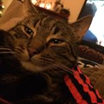 Profile Picture of Geoffrey Wood (@geoffreywoodster2468) on Instagram