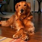 Profile Picture of Gary Kiser (@gary.kiser.3) on Instagram
