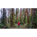 Profile Picture of David Rizo (@davidlorizo) on Flickr