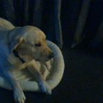 Profile Picture of Natalie jean barclay (@queen.natalie420420) on Instagram