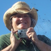 Profile Picture of Jo-Ann Blomquist (@jblomquist) on Youtube