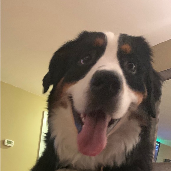 Profile Picture of Aaron Dante (@aarondante) on Poshmark