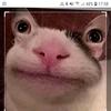 Profile Picture of Jérèm_Nüsser (@@jeremynusser) on Tiktok