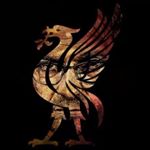 Profile Picture of Stephen Cresswell (@stecresswell) on Instagram