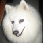 Profile Picture of Tony Eccles (@ecclest1) on Instagram