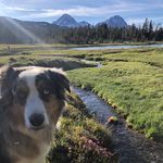 Profile Picture of Lisa Parsons (@lisa.parsons.oregon) on Instagram