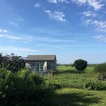 Profile Picture of Nancy Hessel Weber (@thediningshed) on Instagram